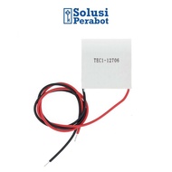 Peltier TEC1-12706 SP / TEC Hot Cold Ceramic Element TEC1 12706 DC 12V