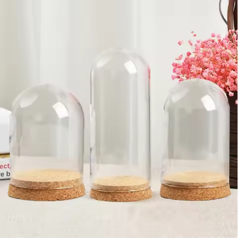 Glass Dome Cloche Cover Wood Cork Base Microlandscape Holder Bell Jar For DIY Flower Plants Vase Tab