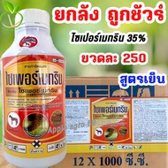 🎁ยกลัง ถูกชัวร์ ไซเพอร์เมทริน 35% สูตรเย็น ขนาด 1 ลิตร x 12 ขวด น็อคหนอนและแมลง ไซเปอร์เมทริน35 ไซเป