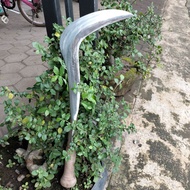 CALOK KEBUN PEKARANGAN BAJA PER ASLI