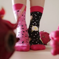 聖誕禮物【紅肉火龍果花果襪】對稱/不對稱襪 暗夜裡的希望│愛的