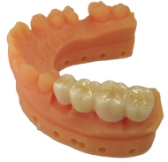 JC Dental 3D Printing Model Resin Liquid Sensitivity Model Resin Printing Model Plant Model Resin Li