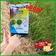 Ameron Ametryn Racun Rumput Sambau Paling Berkesan Power Racun Rumput Sembau Racun Mati Biji Benih