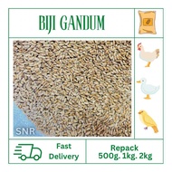 [Repack] Biji Gandum Makanan Haiwan / Wheat Grain Animal Feed