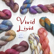 VIVID LIVID Cotton Hand Dyed Sport and DK Weight Knitting Yarn