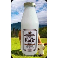 Milk Kefir - Probiotics 60 in 1 - 40 types of bacteria + 20 types of yeasts