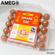 Umami Omega Plus Chicken Eggs, 30 Eggs from Amego HT