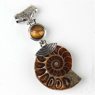 TRADER Chakra Reiki Ammonite Fossil Stone Pendant Energy Healing Amulet Cabochon Conch Shell Stone P