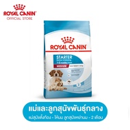 Royal Canin Medium Starter Mother &amp; Baby Dog โรยัล คานิน อาหารเม็ดแม่สุนัข และ ลูกสุนัขหย่านม พันธุ์กลาง อายุ 1-2 เดือน (กดเลือกขนาดได้ Dry Dog Food)