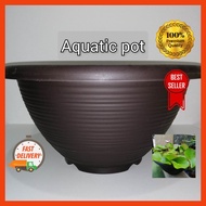 Water lily pot without hole/Pasu tanpa lubang/Aquatic pot