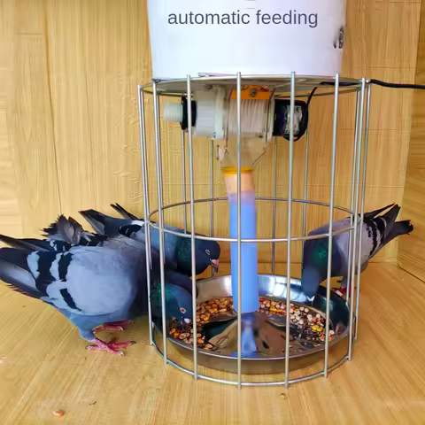 220v powerful quality Poultry pigeon automatic feeder remote feeding feeder pigeon feed timing smart