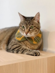 領巾自助餐   圓領普拉斯版 －【 青苔 】