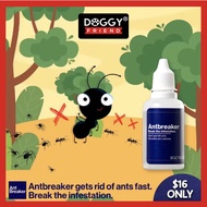 Antbreaker 30ml / PET SAFE Ant Killer / Ant Breaker / Liquid Ant Bait / Borax-based Ant Kiler