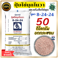 ปุ๋ยสูตร 8-24-24 ปุ๋ยไข่มุกโนวา ตราเรือใบไข่มุก 50 กิโลกรัม ยกกระสอบ ช่วยให้ขั้วเหนียว เร่งดอก ผลใหญ