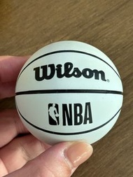 Wilson NBA Mini Basketballs