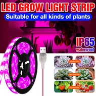USB Phyto Lamp Led Grow Strip Light Full Spectrum Plant Growth Light Greenhouse Phytolamp for Plants Hydroponics Growing System