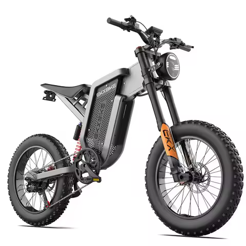 Adults Electric Bike EKX X21 2000W 48V35AH 55km/h Snow Electric Motorcycles 20“*4.0 Off Road Tyre Mo