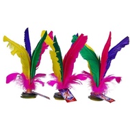 0161 Children's Feather Competition Shuttlecock Student Sporting Goods Colorful Shuttlecock Goose Fe
