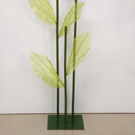 Stem Stems Giant Flower