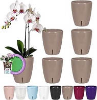 Santino Set of 6 Self-Watering Pots with Wick System and Water Level Indicator for Indoor Use, Orchi