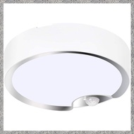 (L A T Z) Motion Sensor Ceiling Lights Battery Powered LED Ceiling Lights