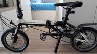 Dahon glo
