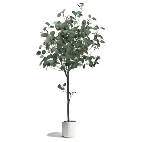 Artificial Eucalyptus Tree 6FT Fake Silver Dollar Leaves Plant with White Pot is Decorated Pebbles G