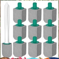 10 Pcs Pumice Stone Toilet Bowl Cleaner Toilet Pumice Stone with Long Handle Toilet Brush for Pool B