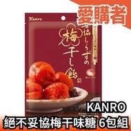 【六包組】日本製 KANRO 絕不妥協梅干味糖 65g 日本國產梅子 梅子糖 酸梅糖 【愛購者】