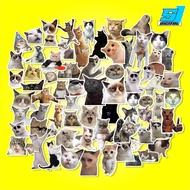 Cute Cat Meme Sticker Pack 60cm - 70pcs Cat Meme Sticker/