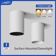 Surface Mounted Modern Downlight 7W/12W RG0 Anti-blue CRI98 Downlight 3 Color LED Ceiling Light