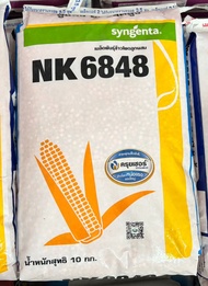 ส่งไว! ข้าวโพดเลี้ยงสัตว์ NK6848 10กิโล ทนแล้ง ทนโรค ใบไหม้แผลใหญ่ ฝักใหญ่ น้ำหนักดี ปลูกถี่ได้