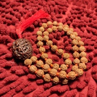 Tasbih jenitri 33 genitri rudraksha 33 Tasbih 33 Tasbih 33 biji