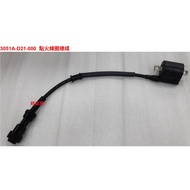 MMBCU 曼巴 DRG 龍 矽導線 高壓線圈 點火線圈 含火星塞蓋 三陽SYM公司原廠貨 代號D21 1個