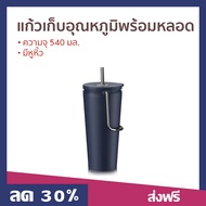 🔥ขายดี🔥 แก้วเก็บอุณหภูมิพร้อมหลอด LocknLock ความจุ 540 มล. มีหูหิ้ว LHC4268 - แก้วเก็บอุณหภูมิ แก้วเ