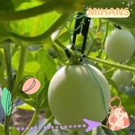 MIH 30pcs Mesh melon hook, Mesh melon cantaloupe Hanging Hook, Coco special cantaloupe Hooks for Eli