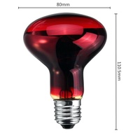 75w InfraRed Basking Spot ExoCare Cage Warmer LampBD Reptile Iguana Aldabra sulkara radiata