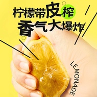 【Vitamin C Blast】HFH Multi Purpose Lemon Juice / Lemon Juice / Lemon Juice For Drink / Lemon Juice F