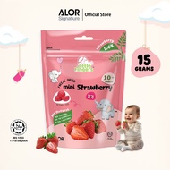 Little Fingers Strawberi Kering Beku Mini_Snek Bayi (10 Bulan+)/Little Fingers Mini Freeze Dried Str