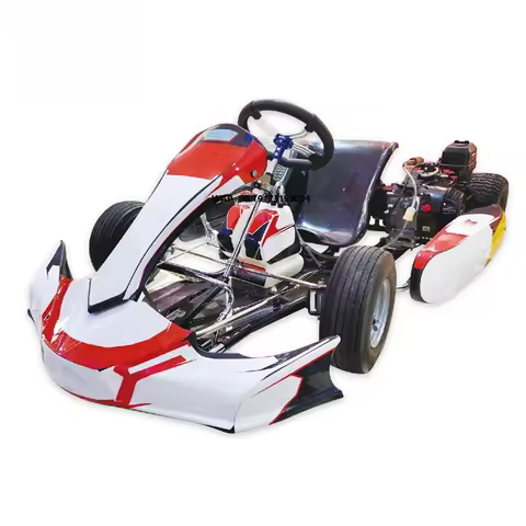 Powered Go Kart High Speed 70km/h Gocart for Lawn 4 Stroke Gokart