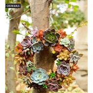 CHiWANji Iron Wire   Pot Rack Wedding Garden Decor NEW Great for decorations during  and any other h