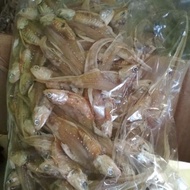 Ikan masin bulu ayam sarawak(ikan gonjeng)