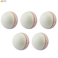 Sports Cricket, Training Cricket, Sports Wind Swing Rebound  Cricket, Elastic Decompression Ball
