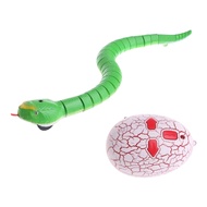 Rắn Điều Khiển Từ Xa Đồ Chơi Rắn Điều Khiển Từ Xa Mô Phỏng Lạ