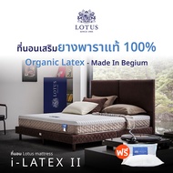 LOTUS ที่นอนยางพารา (สเปคสมดุลลงตัว) รุ่น i-Latex II หนา 8 นิ้ว *ฟรีหมอนหนุนสุขภาพ ส่งฟรี