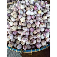 BAWANG PUTIH TUNGGAL BAWANG LANANG BAWANG TUNGGAL BAWANG PUTIH