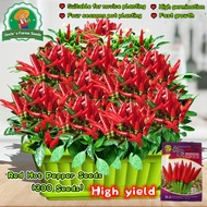 Kirim dalam 24 jam 50pcs Full Seasons Balcony Potted Red Hot Chili Pepper unggul benih sayur sayuran