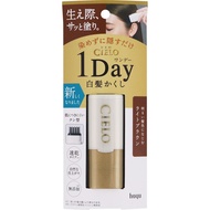 hoyu Cielo One Day Gray Hair Hide - Light Brown 9ml Temporary Colorant for Graying Hair Colorant for