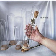 乾花瓶子密封軟木塞加高玻璃罩瓶玫瑰竹底收納擺件玻璃花瓶試管瓶