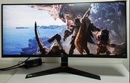 LG 34吋 34inch 34GL750 219 G-sync 1080p 144hz 曲面 電競顯示屏 monitor